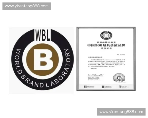 体育品牌创新营销策略研究及其在提升用户参与度中的应用探索 体育品牌创新营销策略研究及其在提升用户参与度中的应用探索